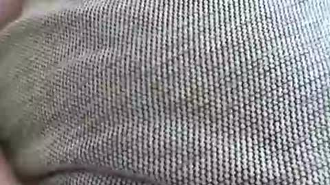 babydollxoxoxo123 online show from April 7, 2026, 9:21 am