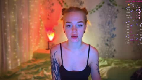 maddy online show from February 7, 2025, 1:43 pm