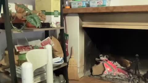 bach online show from December 12, 2024, 6:53 pm