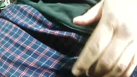 Bagofun online show from January 25, 2025, 7:38 am