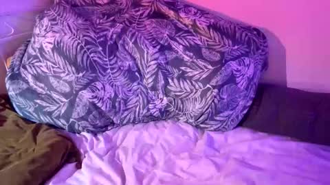 Bags24 online show from February 3, 2026, 2:33 pm