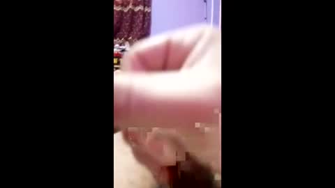 Snapshot of bahaa5555 chatting on April 3, 2026, 3:32 pm bahaa5555 online show from April 3, 2026, 3:32 pm