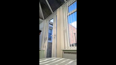 bambifkme online show from April 8, 2026, 9:42 am