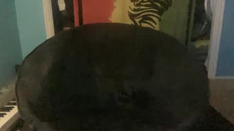 bananaboy420720 online show from September 16, 2025, 6:14 am