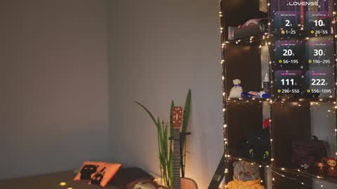 Ellen and  online show from December 7, 2024, 7:05 am