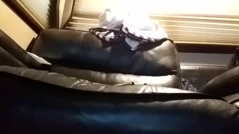 baobabtree8 online show from January 14, 2025, 1:06 pm