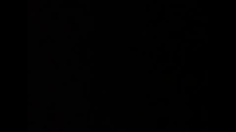 barbarosarslanlar online show from September 20, 2025, 12:06 pm