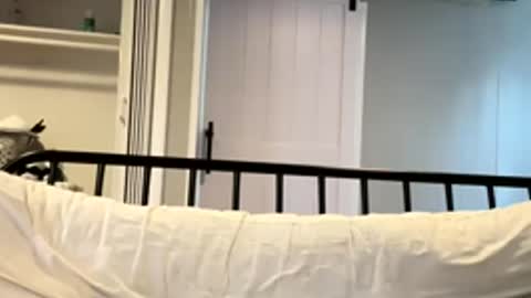 Snapshot of barbiegutzfan3 chatting on March 2, 2026, 6:59 pm Tsbaby301 online show from March 2, 2026, 6:59 pm