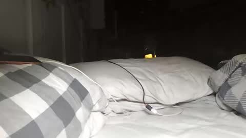 nevametafreaklikemeb4 online show from March 24, 2026, 4:28 am