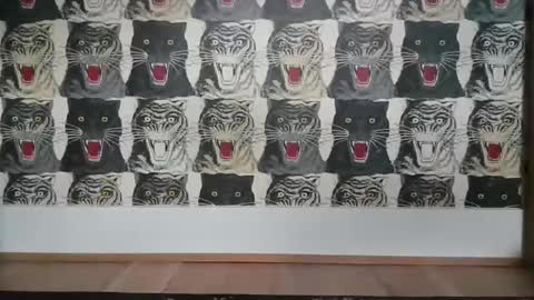 Bas online show from March 6, 2025, 4:07 pm