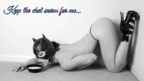Snapshot of batmansfavoritewife chatting on July 8, 2026, 8:19 am Your always sexy Harley online show from July 8, 2026, 8:19 am