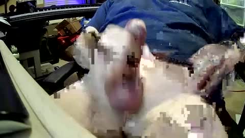 bb5199bb online show from December 27, 2024, 1:00 am