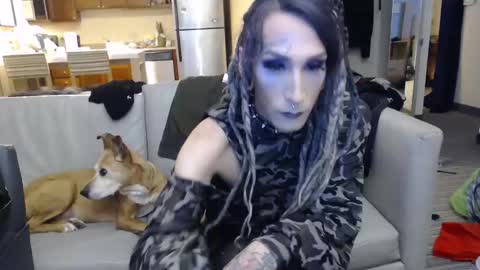 Kittie online show from December 22, 2024, 4:06 pm