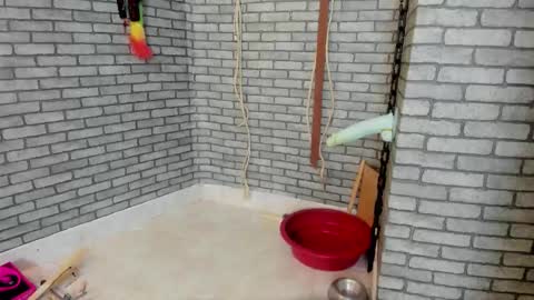 Meduza  online show from November 17, 2025, 2:34 pm