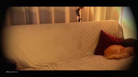 Call me Bells  Next Stream on Wednesday    Feb 26  online show from April 18, 2026, 7:58 pm