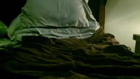 beagle1 online show from December 21, 2024, 1:21 pm