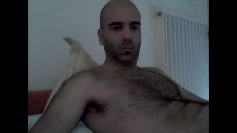 Snapshot of bear14250949 chatting on October 19, 2025, 9:10 am bear14250949 online show from October 19, 2025, 9:10 am