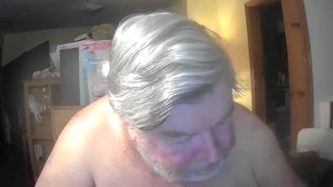 bear online show from April 27, 2026, 2:42 am