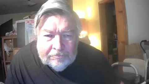 bear online show from April 30, 2026, 8:31 am