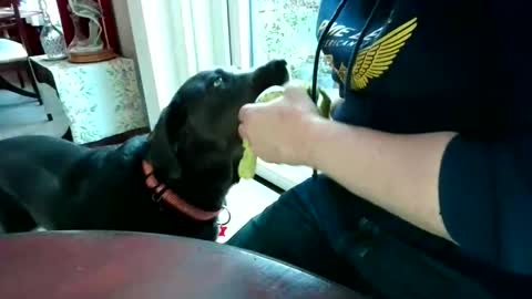 Beardman online show from April 7, 2026, 5:57 pm