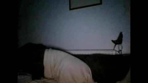 beatlebut online show from October 1, 2025, 6:25 pm