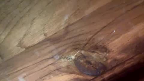 beautifukk online show from January 14, 2026, 7:52 pm