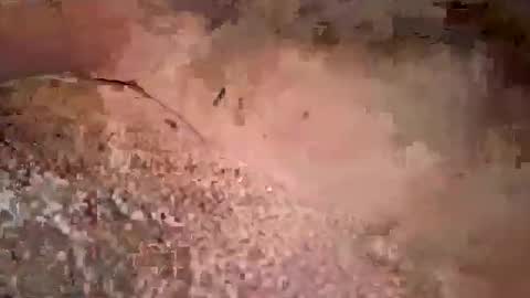 beautifulpeople23 online show from March 29, 2026, 11:32 am