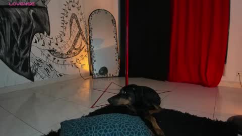 Daniela  ur fav living dead girl  online show from January 5, 2025, 12:42 am