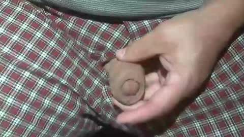  Reservoir Dogs online show from October 20, 2025, 2:12 am