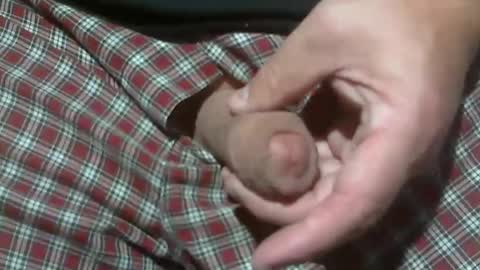  Reservoir Dogs online show from November 13, 2025, 5:45 pm