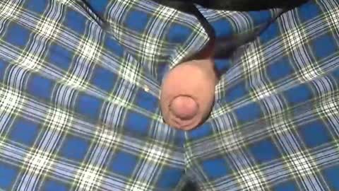  Reservoir Dogs online show from February 19, 2026, 11:28 am