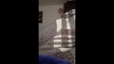 Snapshot of belcebu472402 chatting on November 2, 2025, 2:41 pm belcebu472402 online show from November 2, 2025, 2:41 pm