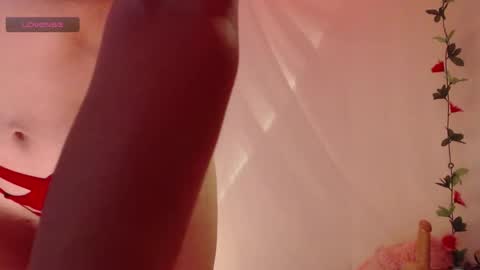 Belladonna  online show from November 25, 2025, 3:39 am