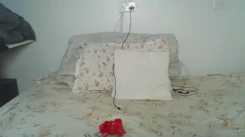 bellah online show from February 24, 2026, 5:49 am