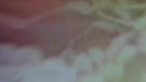 Bella Porch online show from February 26, 2025, 2:59 am