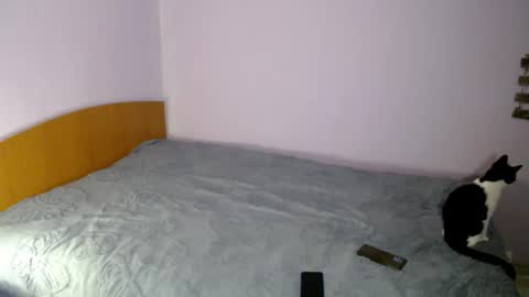 Snapshot of bellaqueen0701 chatting on March 6, 2025, 5:33 pm bellaqueen0701 online show from March 6, 2025, 5:33 pm