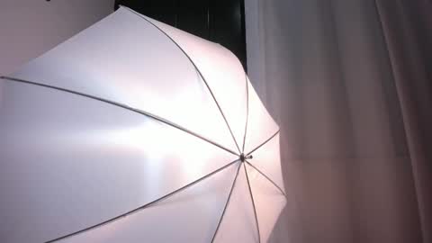 Bella Wild online show from February 12, 2026, 12:00 pm