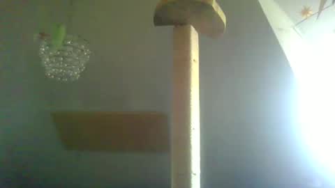 benizio online show from February 22, 2025, 11:02 am