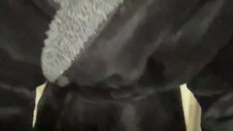 READ MY BIO ---  --- READ MY BIO online show from March 7, 2025, 3:28 pm