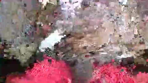 Snapshot of bertdollaz757 chatting on May 20, 2026, 5:19 pm ToxicPipe757 online show from May 20, 2026, 5:19 pm