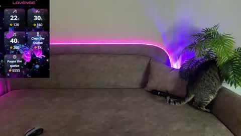 Teya online show from April 12, 2026, 3:06 pm