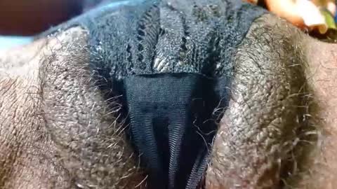 Snapshot of bethanywilsom chatting on January 24, 2025, 3:34 pm Bethany Wilson online show from January 24, 2025, 3:34 pm