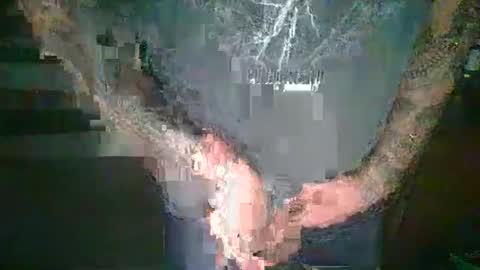 betterthanporn669 online show from March 5, 2025, 12:22 pm