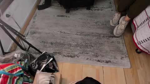 BESHA... online show from January 12, 2025, 11:39 am