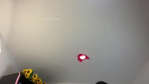 Bianca Mirage online show from April 7, 2026, 12:49 pm