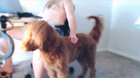 Snapshot of bigbadwolfbulge chatting on February 25, 2026, 5:00 pm Alcide Herveaux online show from February 25, 2026, 5:00 pm