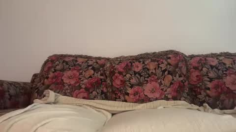 Cum247365 online show from February 14, 2026, 3:31 pm