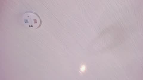   online show from April 15, 2026, 10:00 am