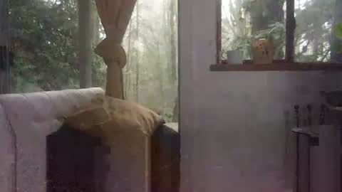 bigbossforsirius online show from December 1, 2024, 4:29 pm