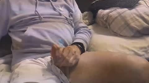 Snapshot of bigboytoy_12 chatting on March 3, 2025, 4:58 am L e g a l S t u f f Any UNAUTHORIZED use of this profile video pictures or audio in any form or in a forum now or in the fu online show from March 3, 2025, 4:58 am